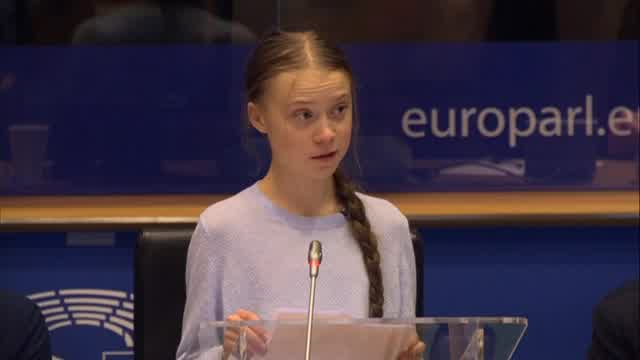 European Parliament