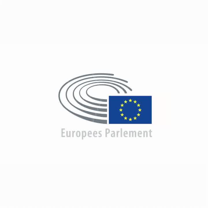 European Parliament