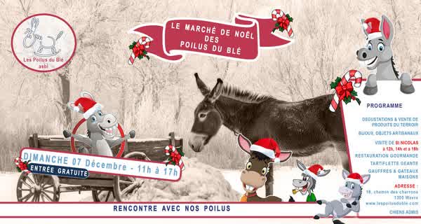 Le Domaine Du Blé