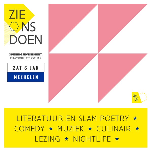 Vlaamse overheid