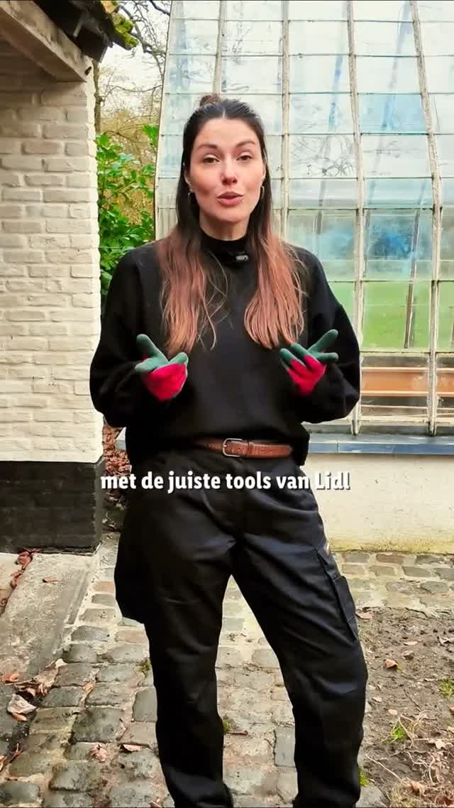 Lidl Belgium