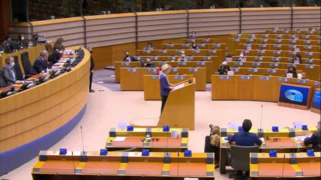 European Parliament