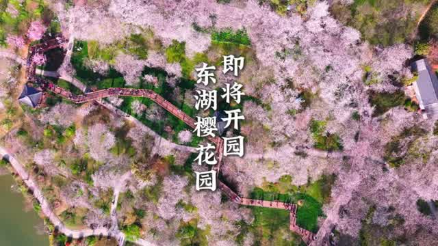 Visit Wuhan